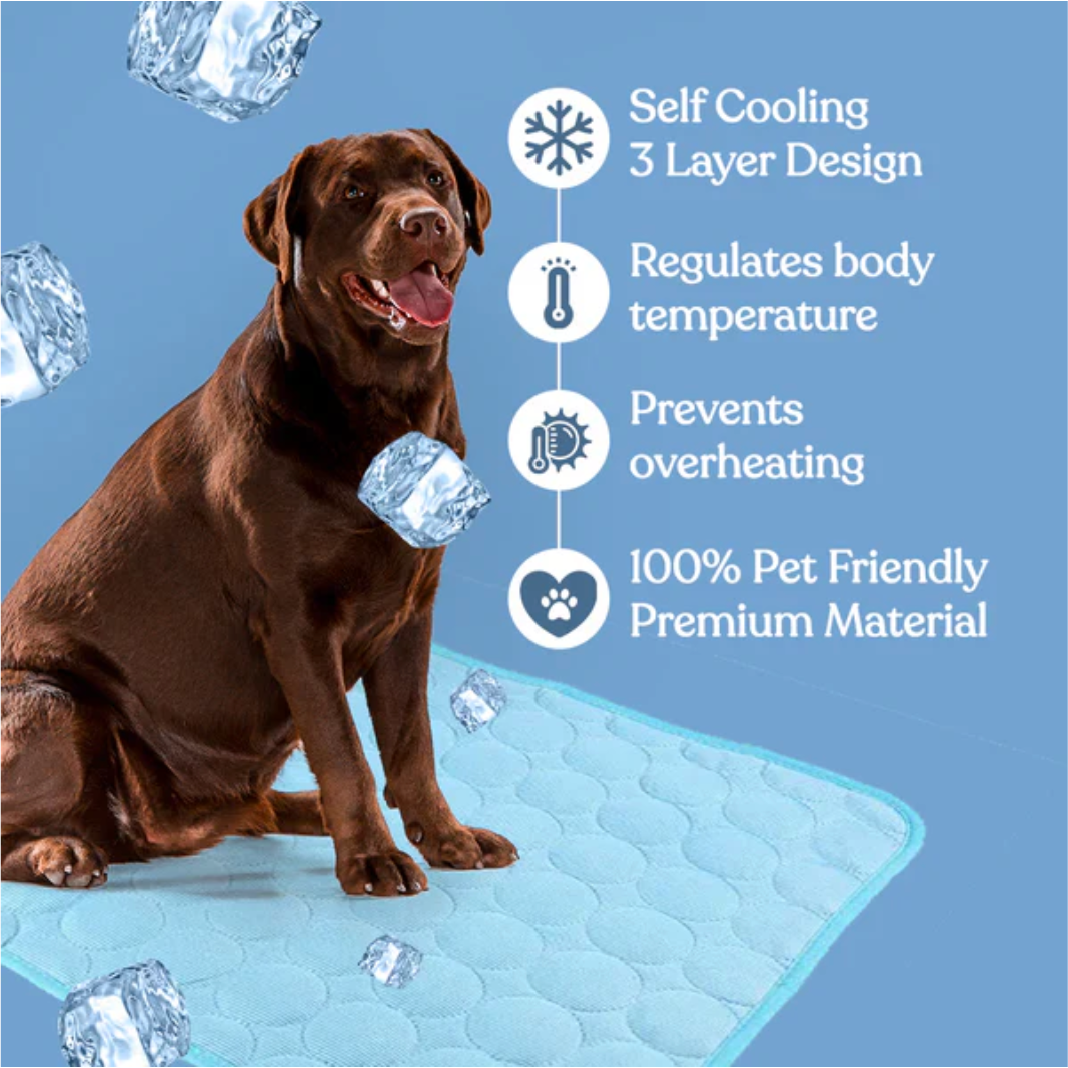 BreezeLuxe™ Ice Silk Pet Cooling Mat