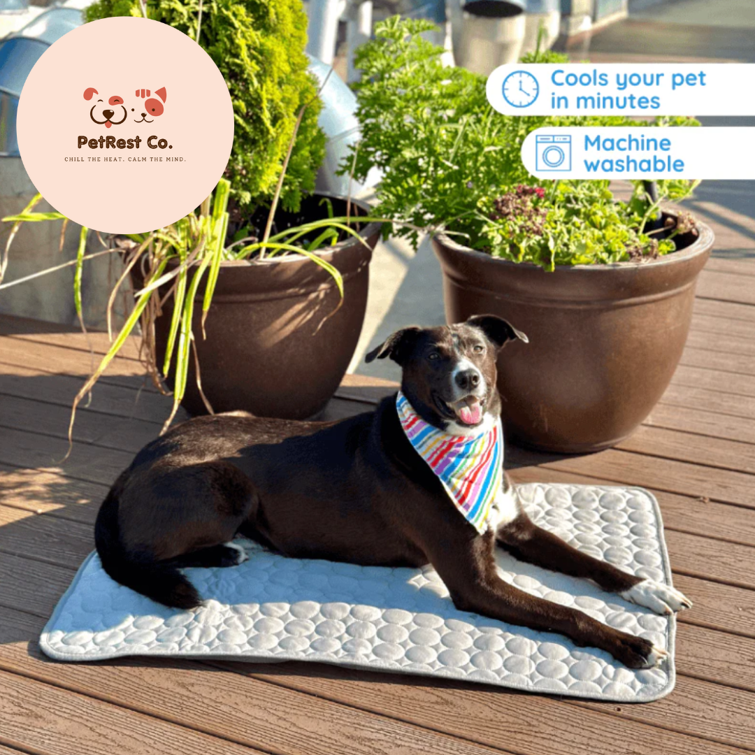 BreezeLuxe™ Ice Silk Pet Cooling Mat