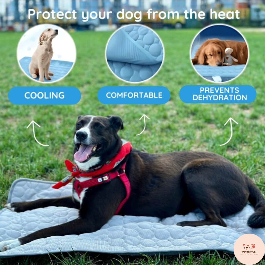 BreezeLuxe™ Ice Silk Pet Cooling Mat