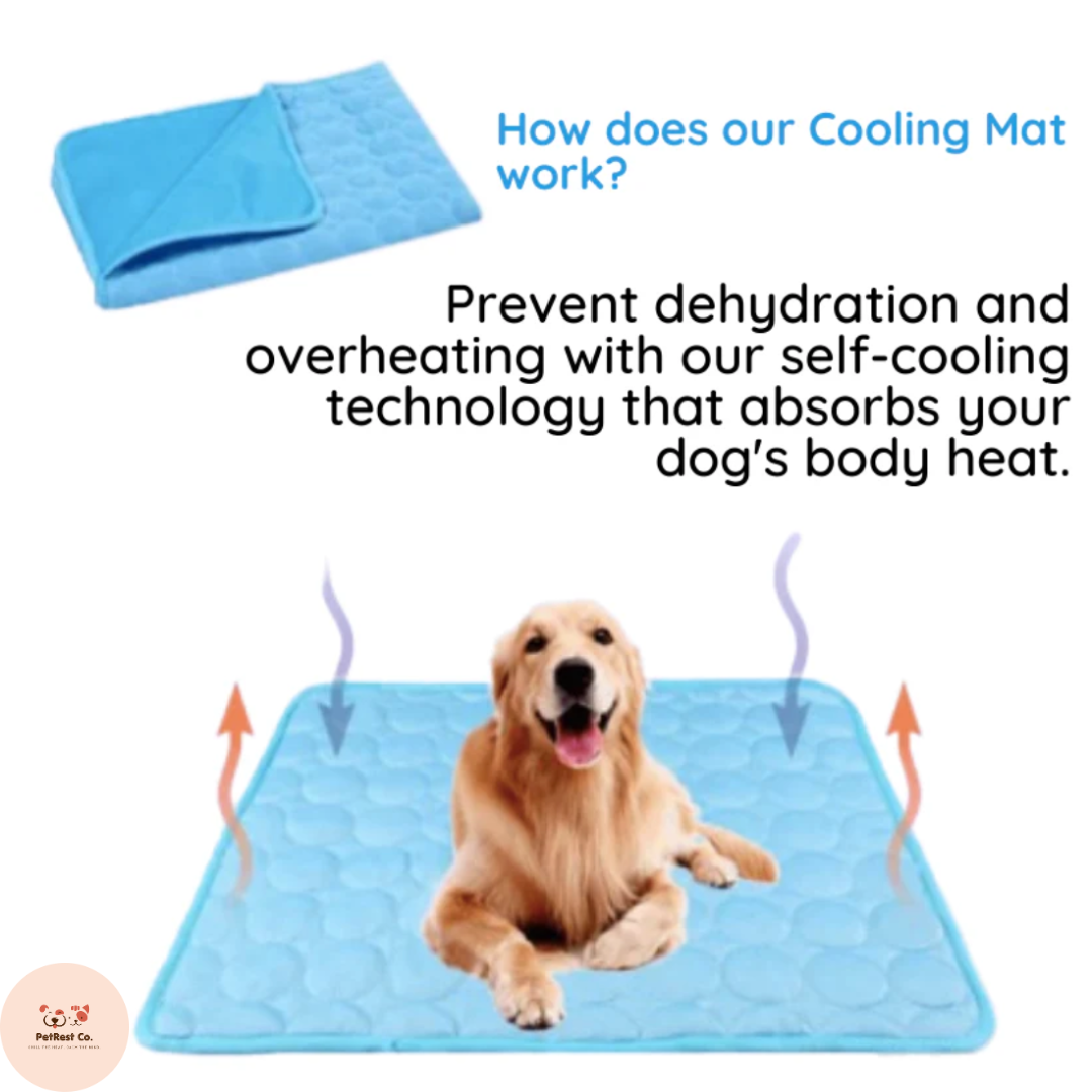 BreezeLuxe™ Ice Silk Pet Cooling Mat