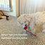 PlaySphere™ - Smart Rolling Pet Ball Endless Play & Exercise for Dogs & Cats