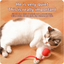 PlaySphere™ - Smart Rolling Pet Ball Endless Play & Exercise for Dogs & Cats