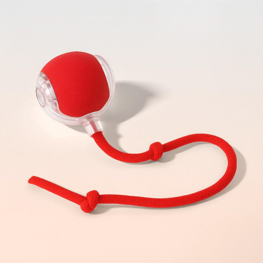 PlaySphere™ - Smart Rolling Pet Ball Endless Play & Exercise for Dogs & Cats