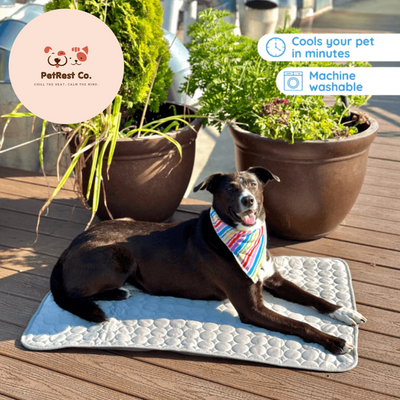 BreezeLuxe™ Ice Silk Pet Cooling Mat